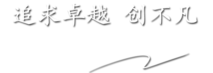 卓越双剑 创不凡